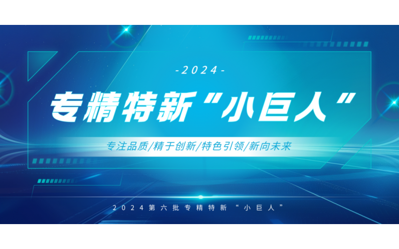 Good news! Haimei New Materials has been awarded the national level specialized, refined, and innovative enterprise